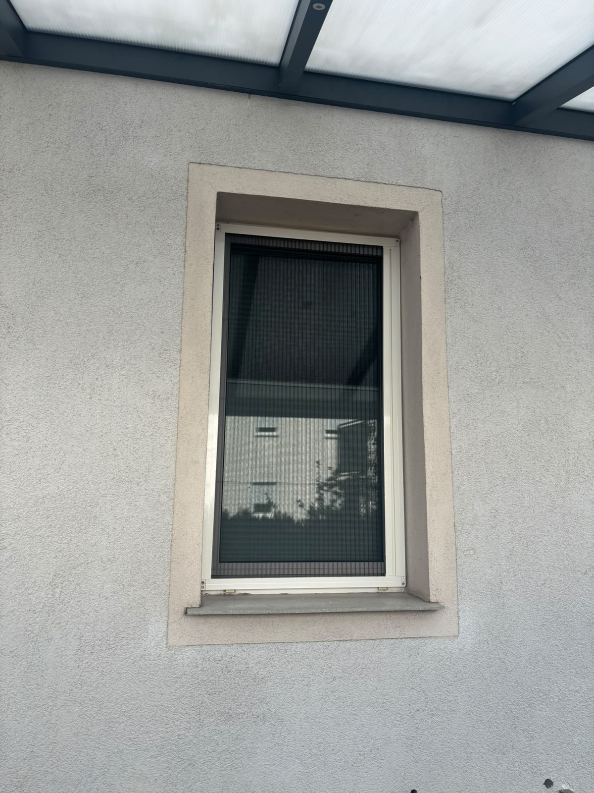 Projekt Verein